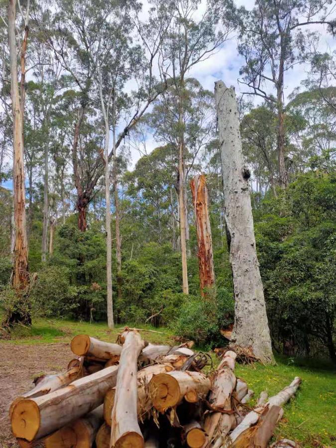 Lakes Entrance Log Cabins Zewnętrze zdjęcie