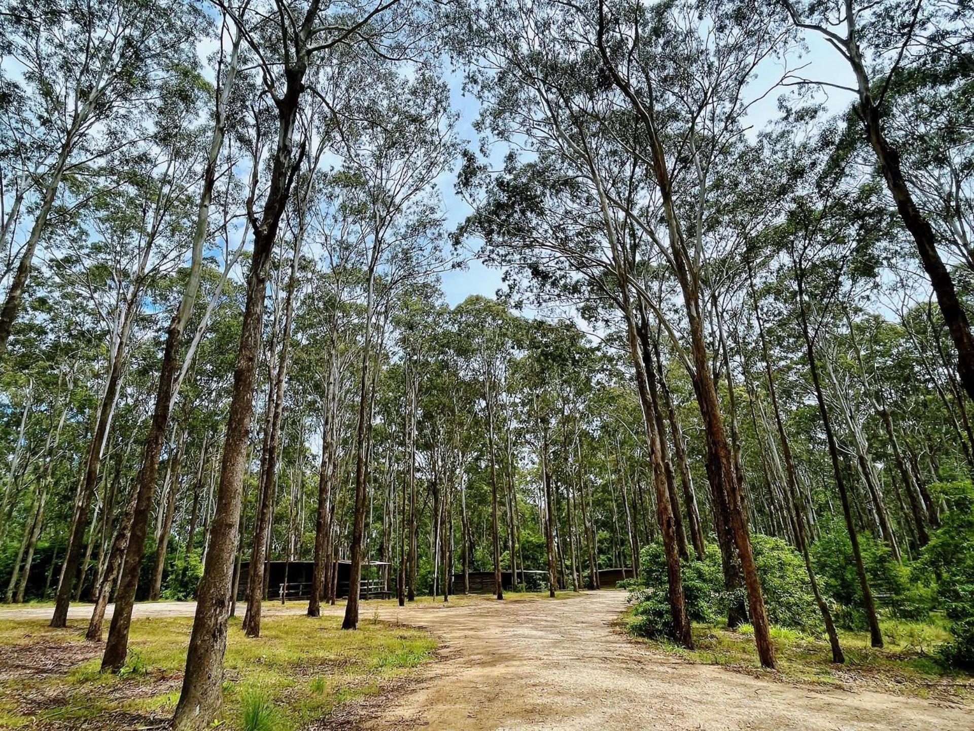 Lakes Entrance Log Cabins Zewnętrze zdjęcie